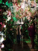 Albums/20200303-Kew Gardens/14